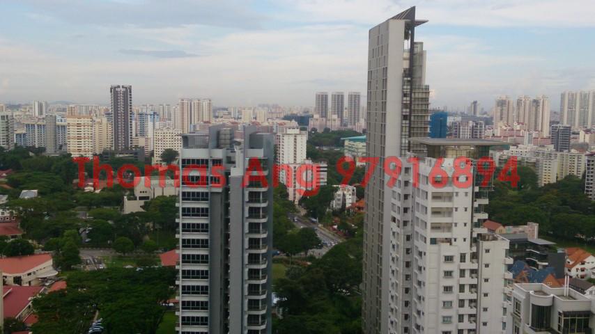 Soleil @ Sinaran (D11), Condominium #88391262